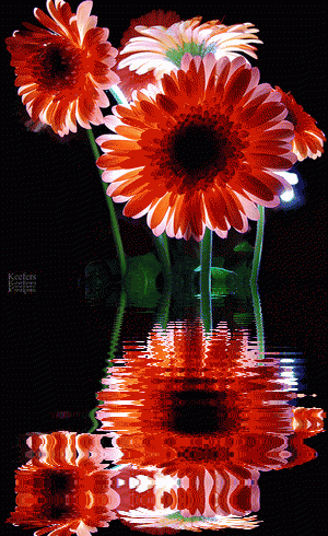 flower in water2