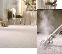 carpet cleaning business