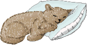 catpillow2.gif image by petpurri
