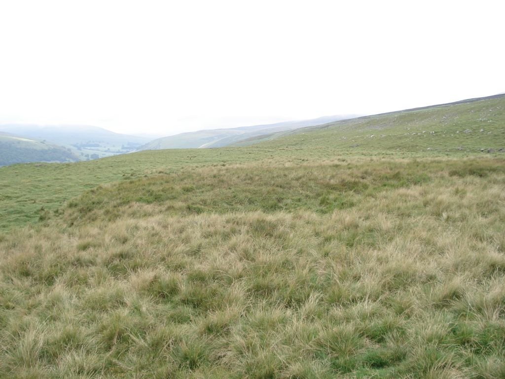 2012-09-08231728.jpg