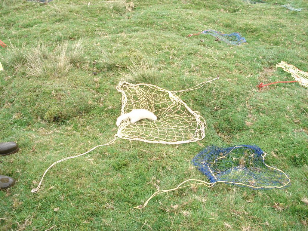 2012-09-08231735.jpg