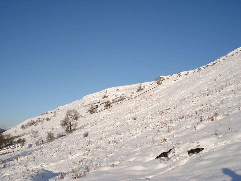 DSC01818.jpg