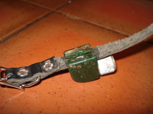 ferretcollar1.jpg