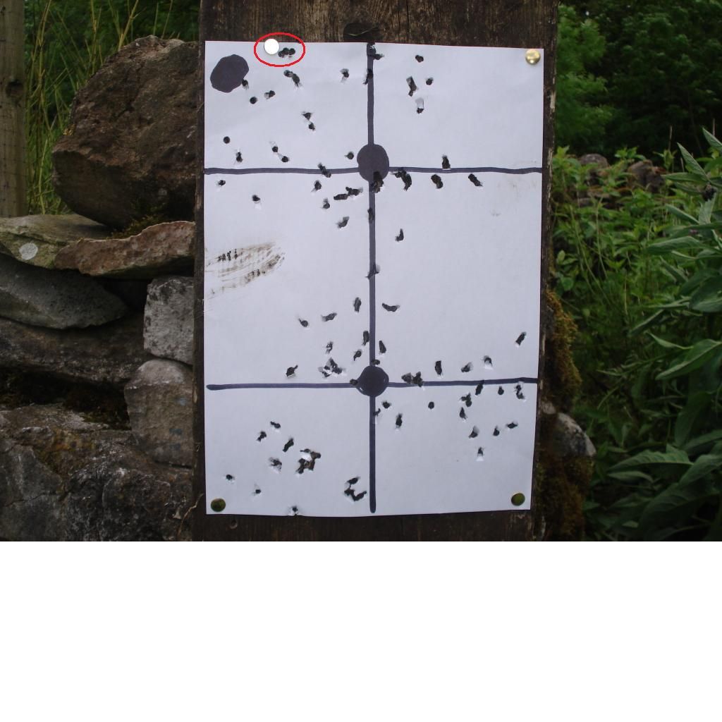 target.jpg