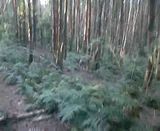 th_040-1.jpg