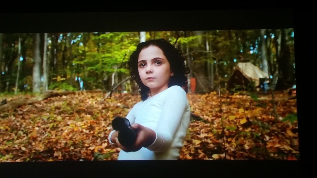 SONY VPL-HW45ES : HW40ES successor - Page 82 - AVS Forum | Home Theater