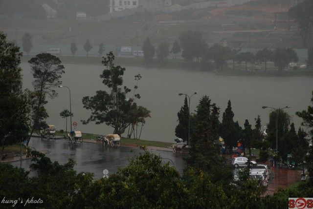 DALAT CLUB - Nơi hội tụ những người yêu Đà Lạt - 1