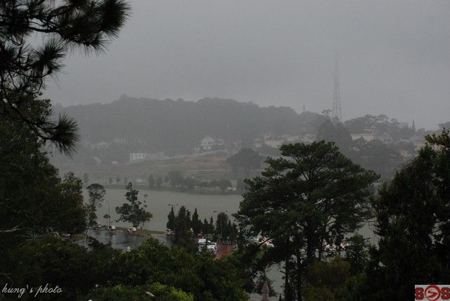 DALAT CLUB - Nơi hội tụ những người yêu Đà Lạt - 3