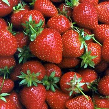 strawberries3.jpg
