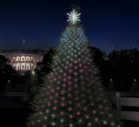  photo Made with Code Holiday Tree_zpseiy8vnth.gif