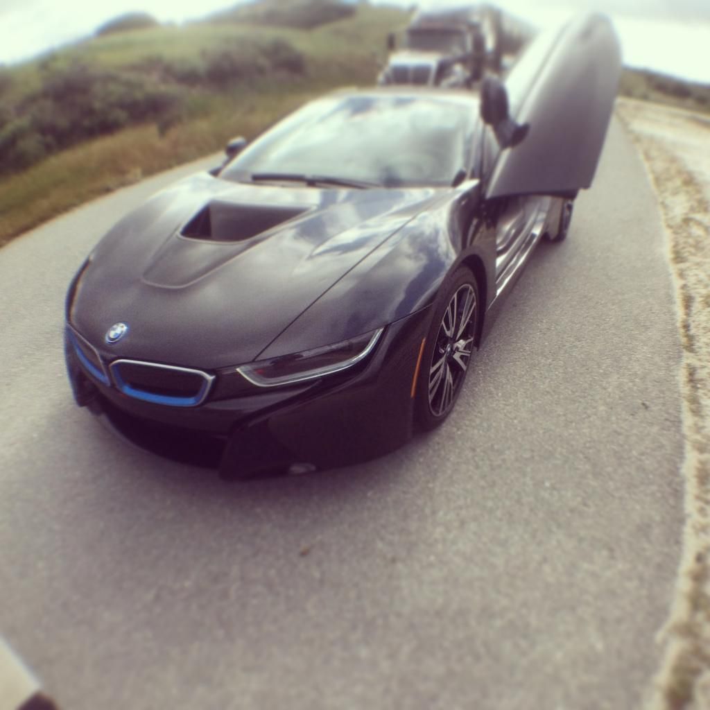 [Image: i83.jpg]
