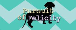 Pursuit of Felicity
