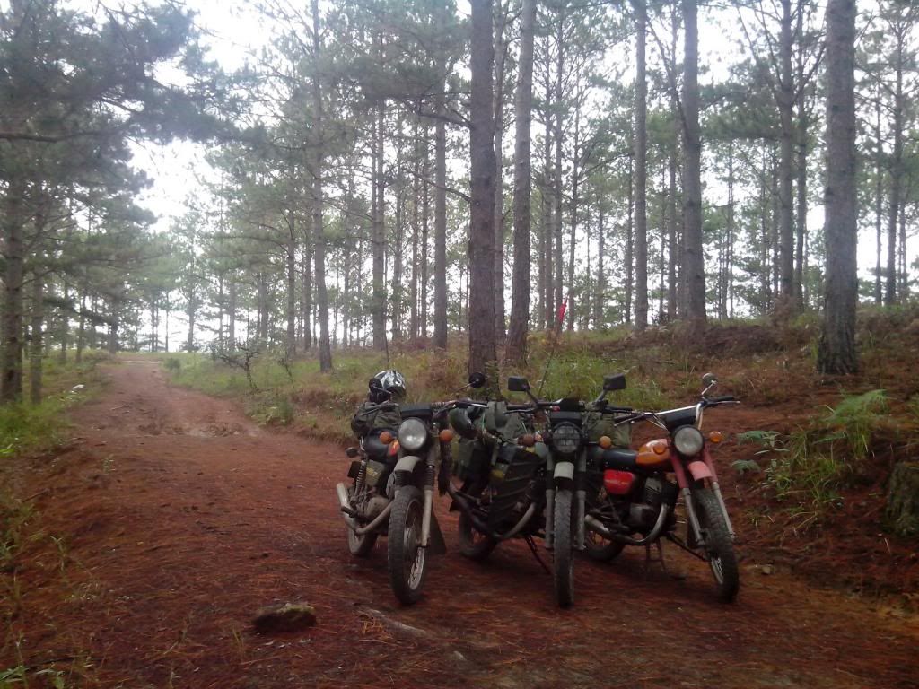 Cần Bán HONDA NSR 150 SP - 3