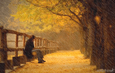 Sitting alone in the rain of sunset...wash away my tear