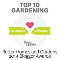 Tilly's Nest: February 2013