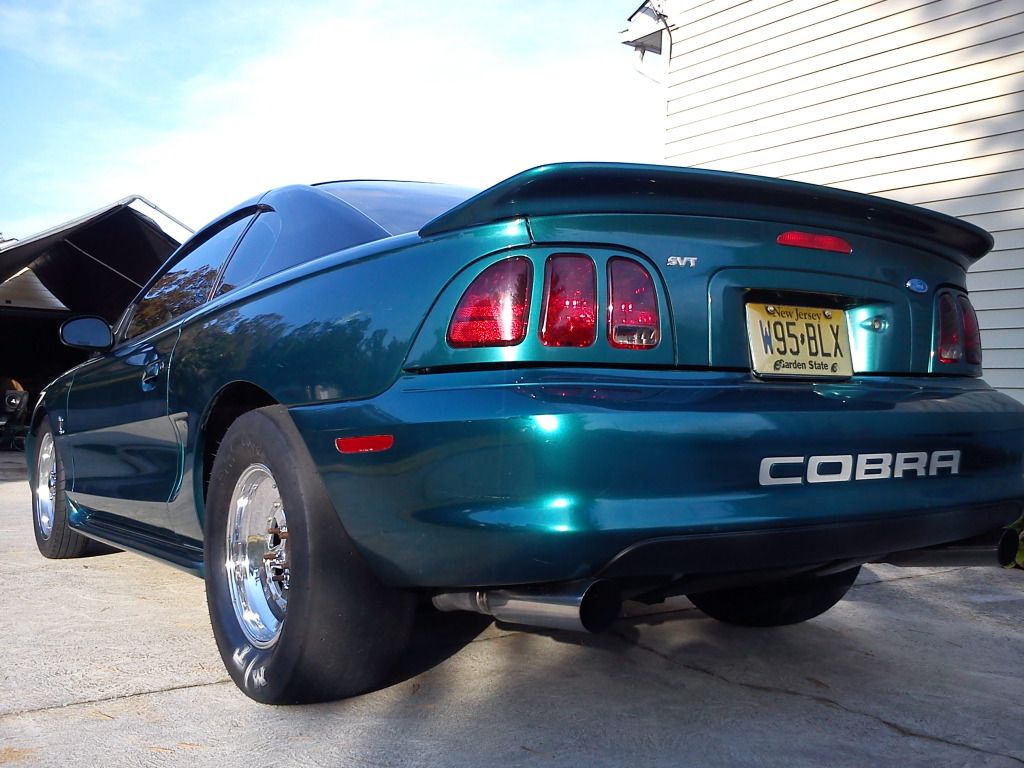 Finally! Pics of SN95 COBRA with Race Stars/ Greg Welds ...