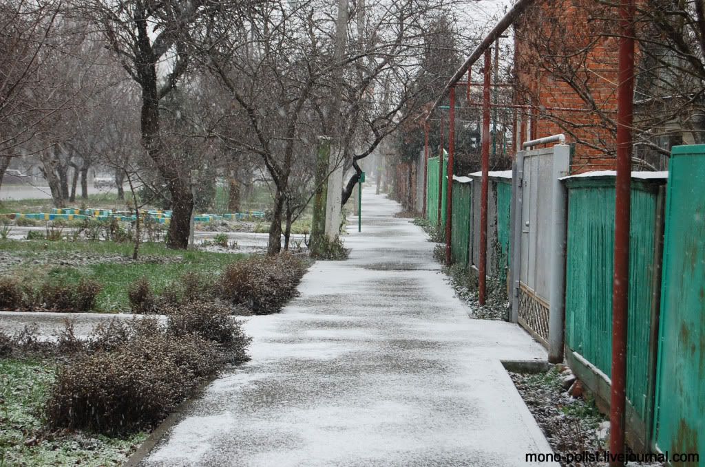 Краснодар в снегу