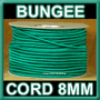 Green Bungee Cord