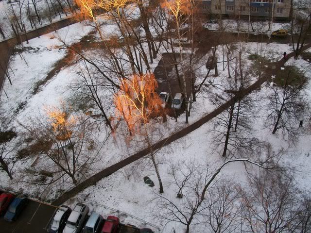 двор2